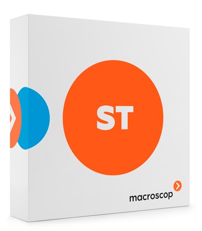 Macroscop ST (лицензия на работу с 1 IP - камерой) Фото