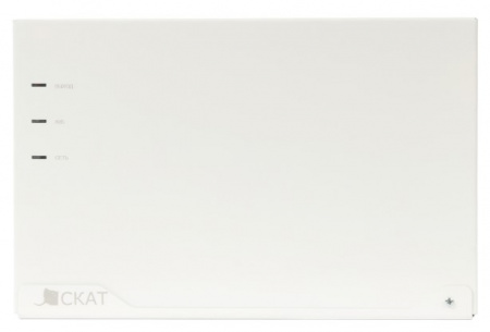 СКАТ 2400М Источник вторичного электропитания резервированный Фото