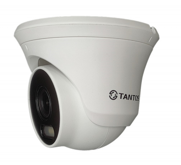 TSi-Beco55FP IP видеокамера уличная купольная с ИК подсветкой Фото