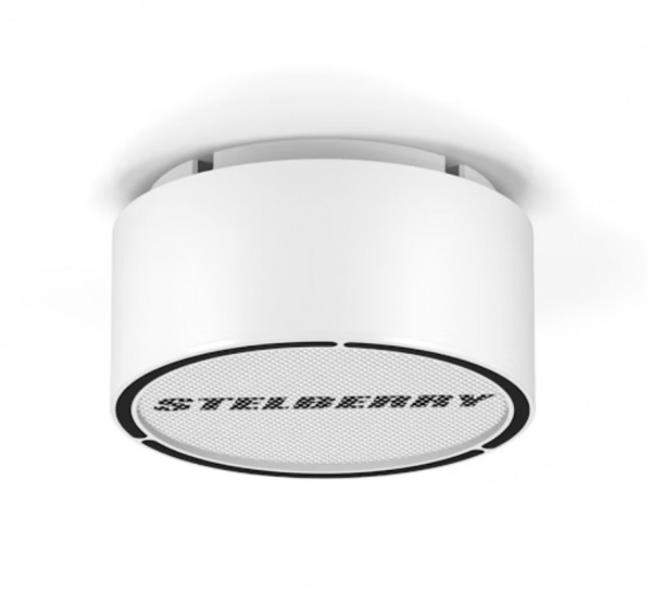 Stelberry F-306W Белый потолочно-настенный громкоговоритель на 6 Ватт Фото