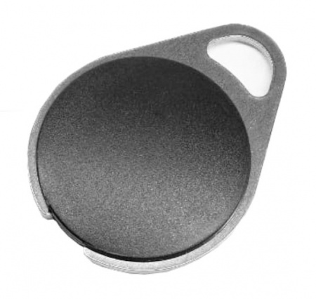 Двухчиповый брелок IL-18T&M; Брелок с Temic и Mifare 1K Фото