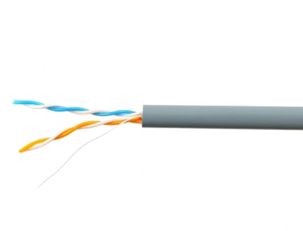Кабель «витая пара» (SkyNet) UTPнг(А)-LSLТx Standard CAT5e, 2х2х0,5 305 (LAN) (1693259) Фото