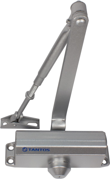 TS-DC045 (серебро) Доводчик дверной Фото