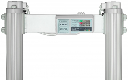 РС X 100 металлодетектор арочный Фото