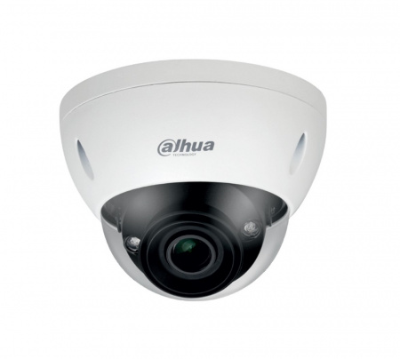 DH-IPC-HDBW91325RP-SL IP-видеокамера 2Мп с объективом Eyeball, WDR Фото